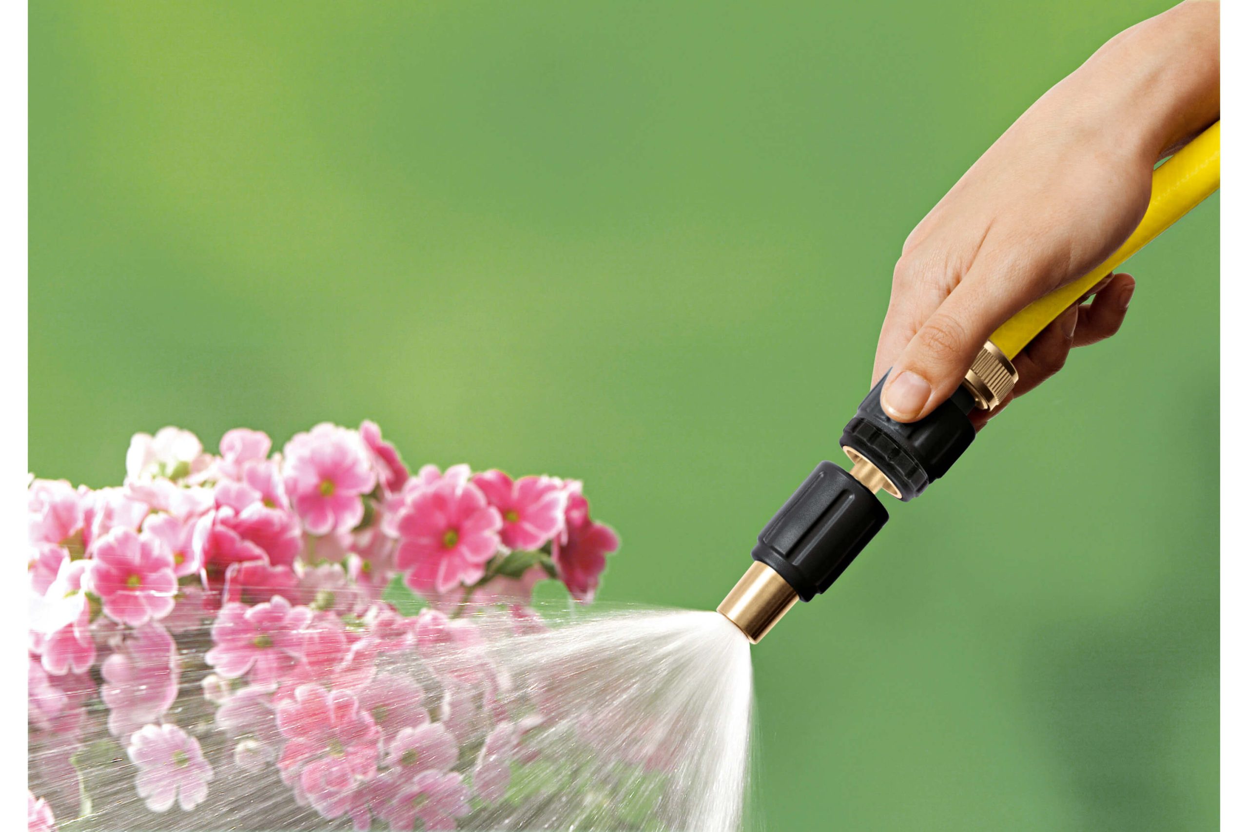 Application Image Application Image