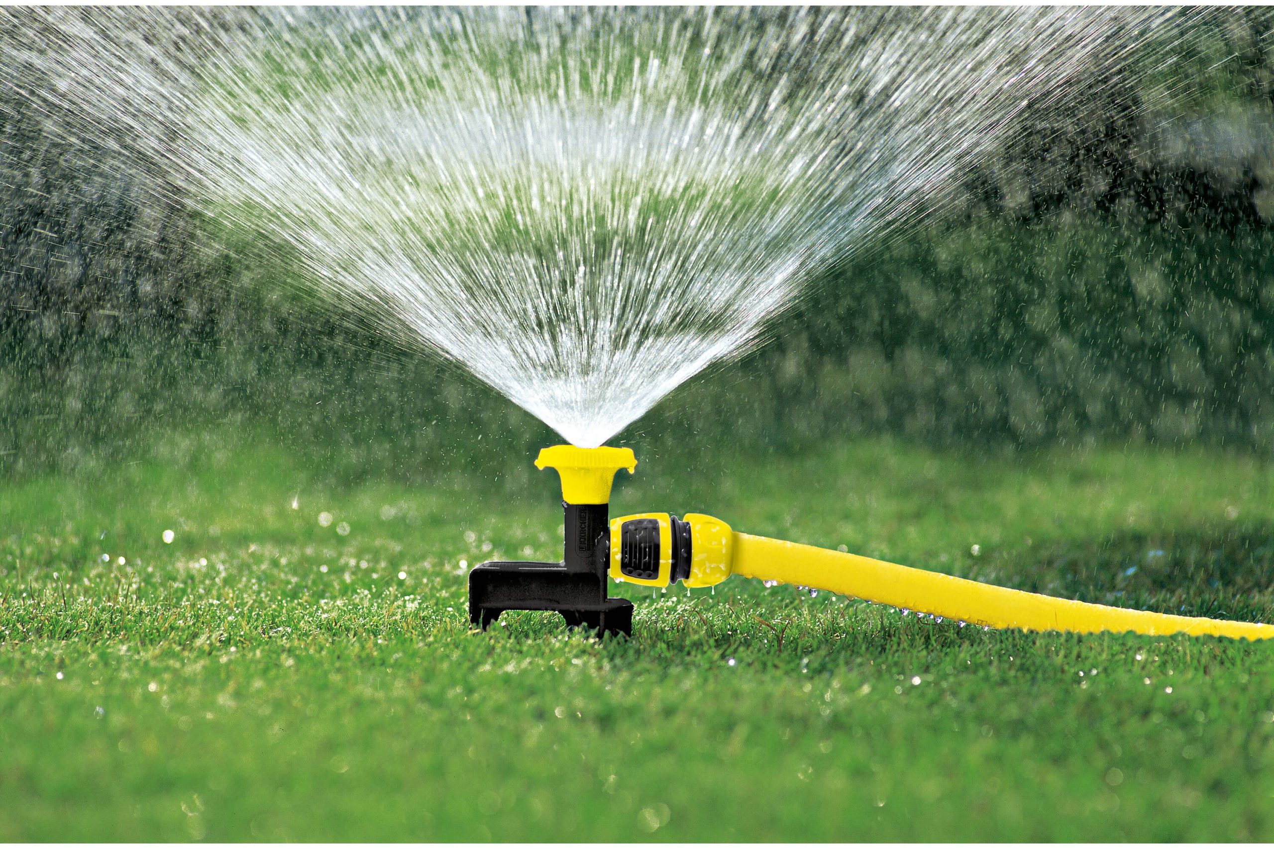 CS_90_spike_app_dd_1_2000x3000px_3000x2000px Application Image