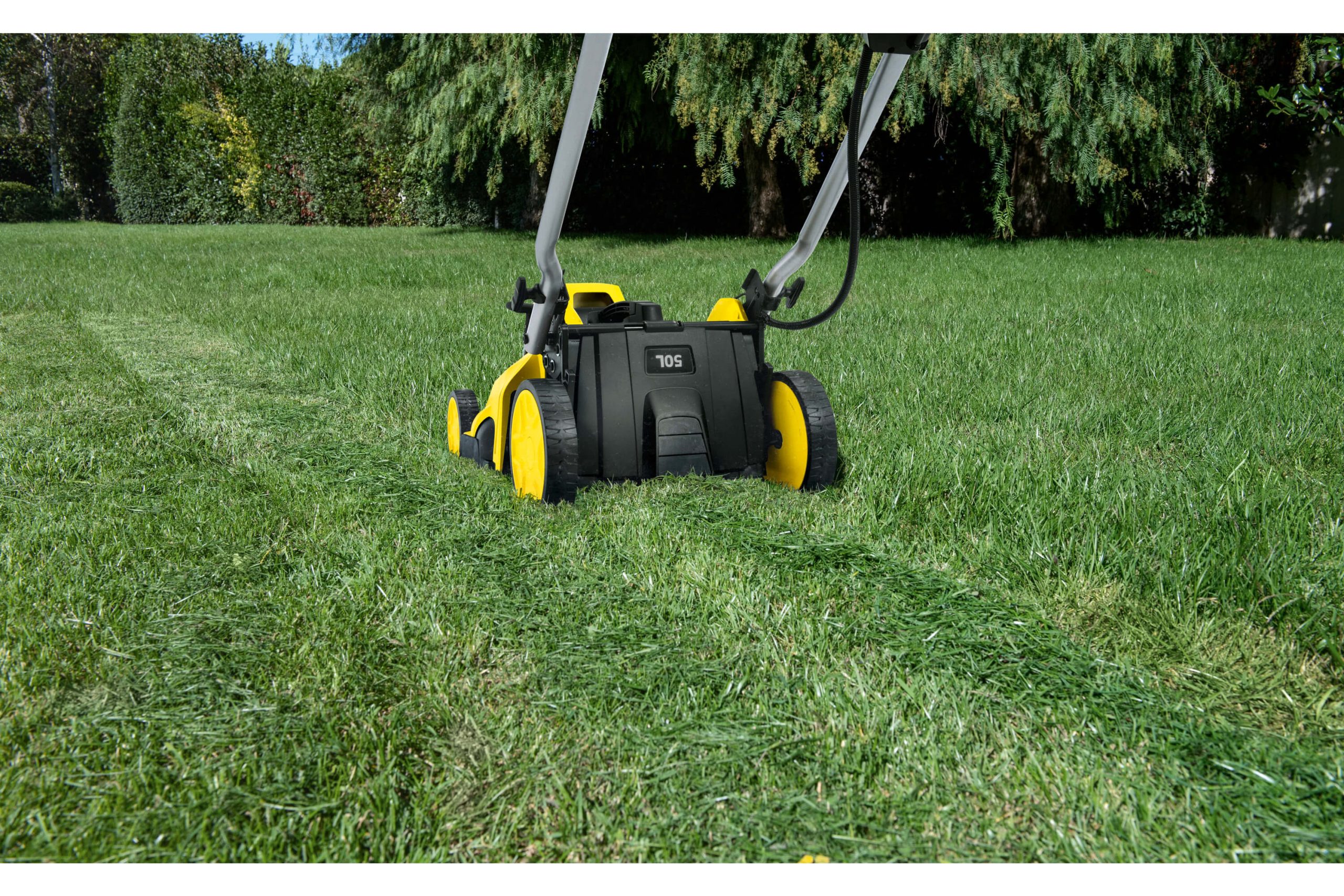 Application Image Application Image