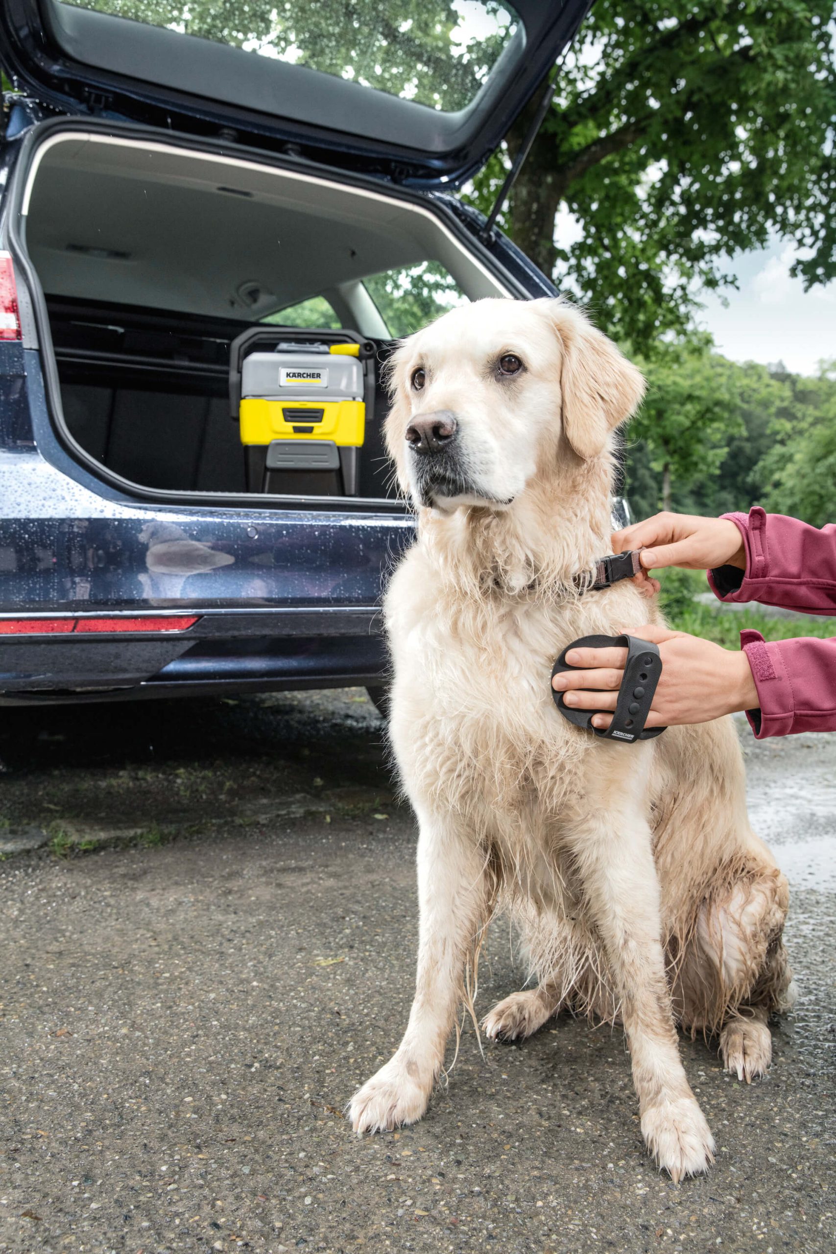 OC_3_Dog_app_14_CI15_2000x3000px_3000x2000px Application Image