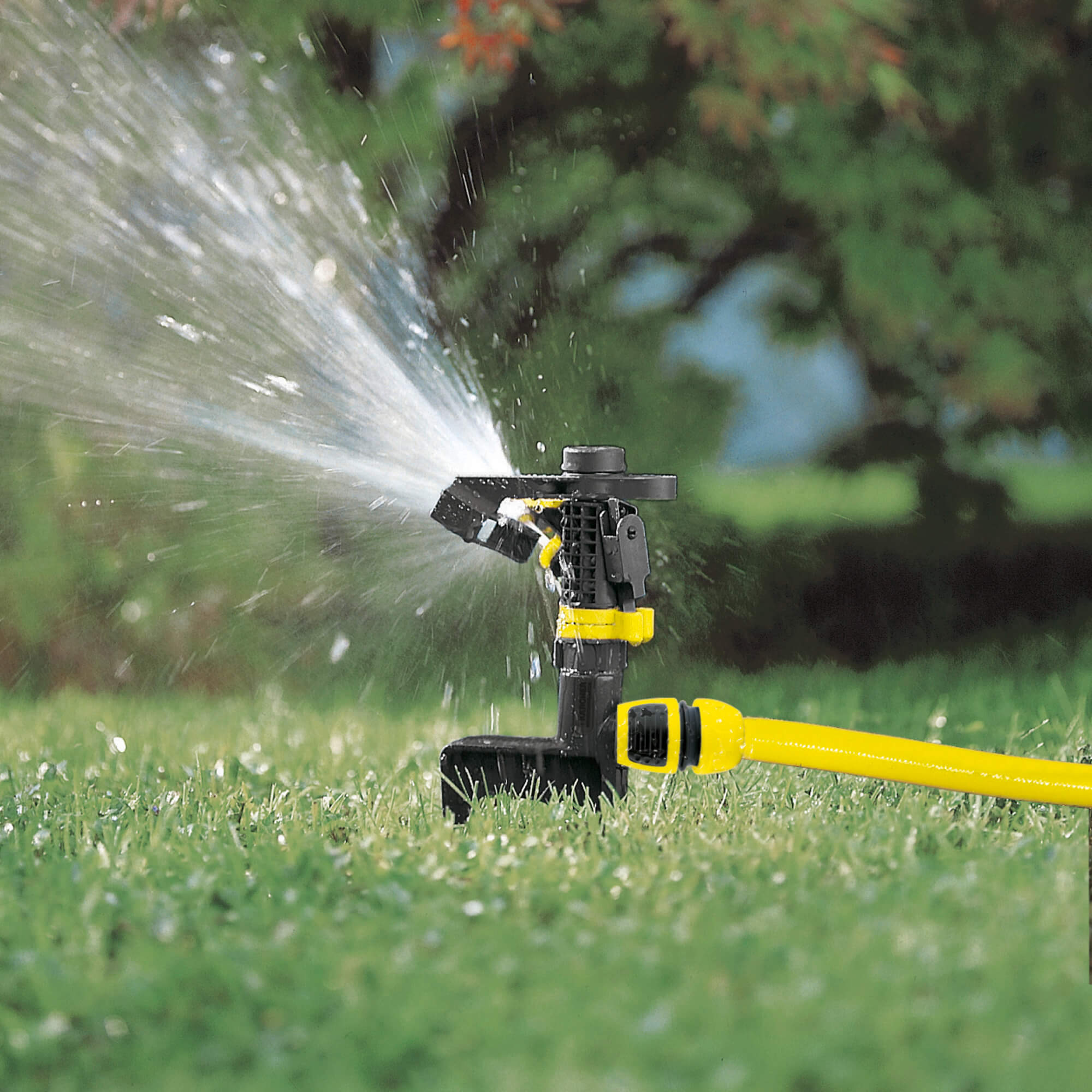 Application Image Application Image