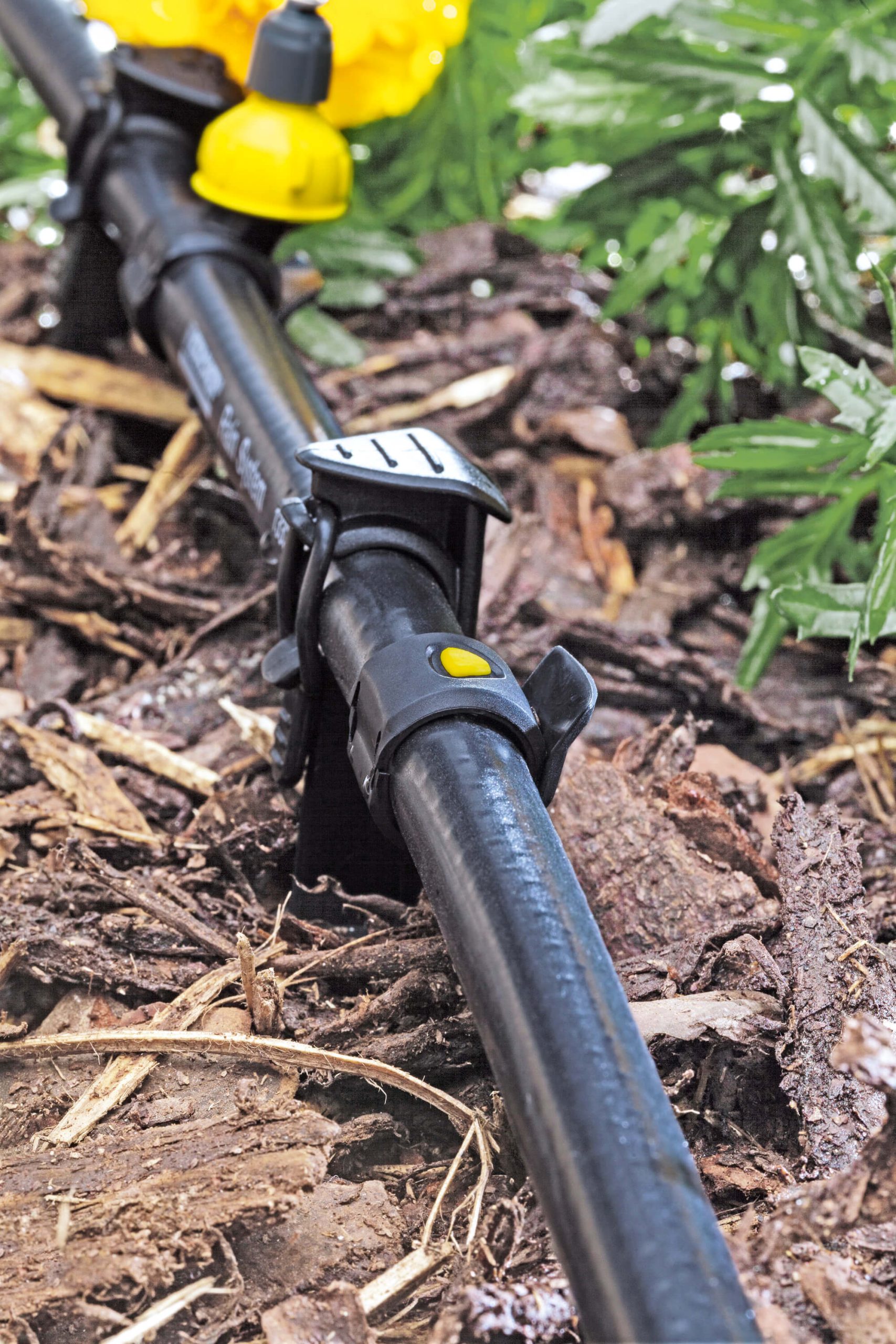 Application Image Application Image