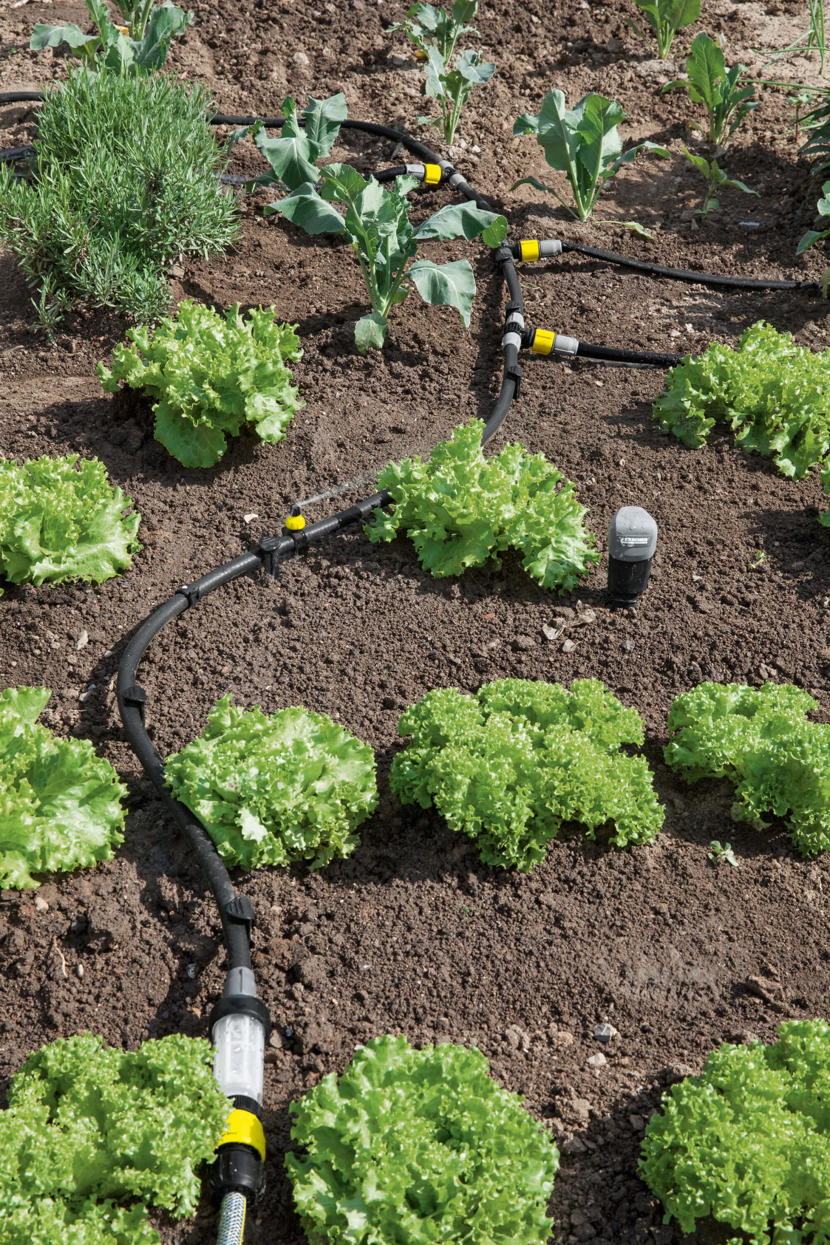 Application Image Application Image