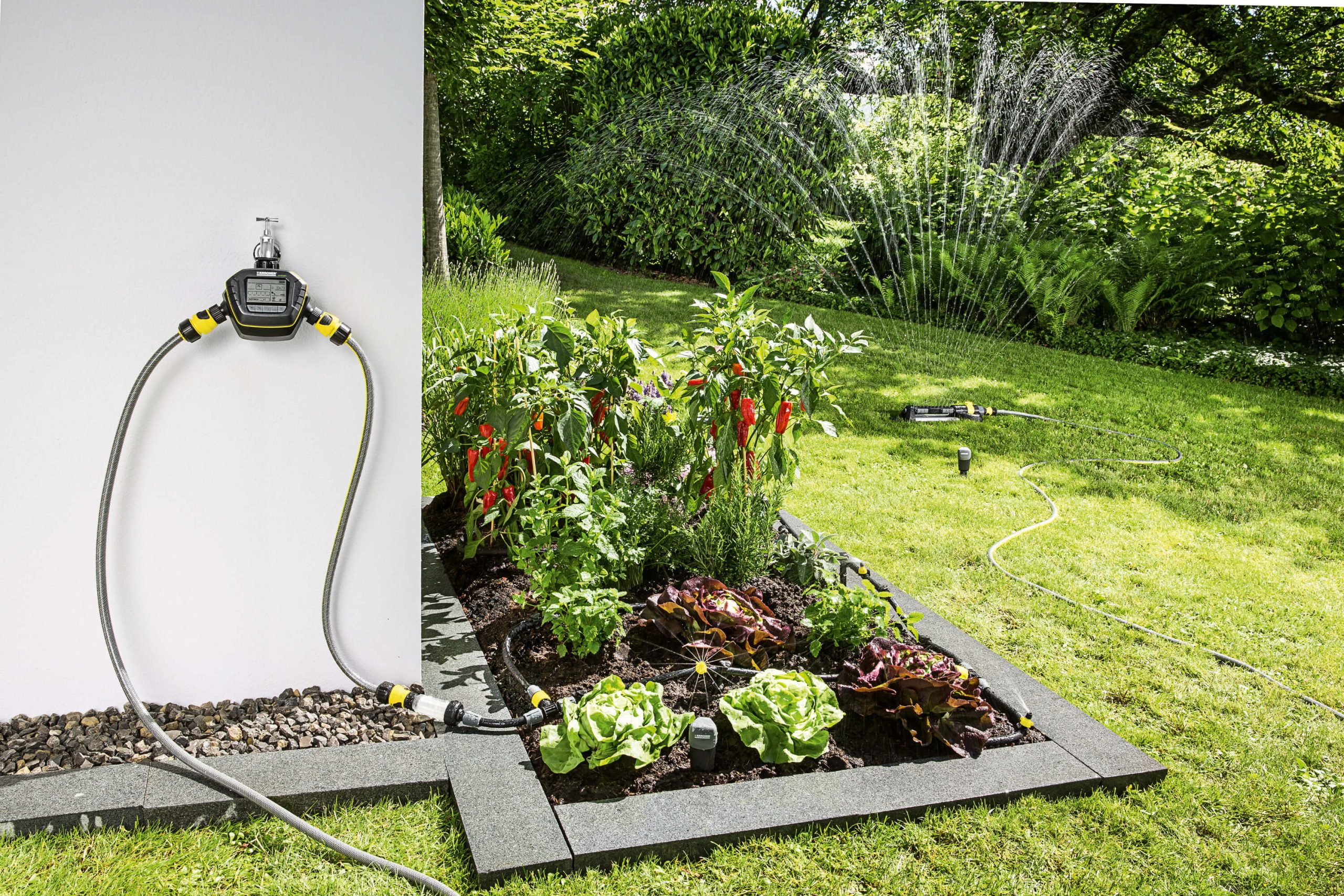 Application Image Application Image